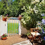 Welcomely - L\'Oleandro